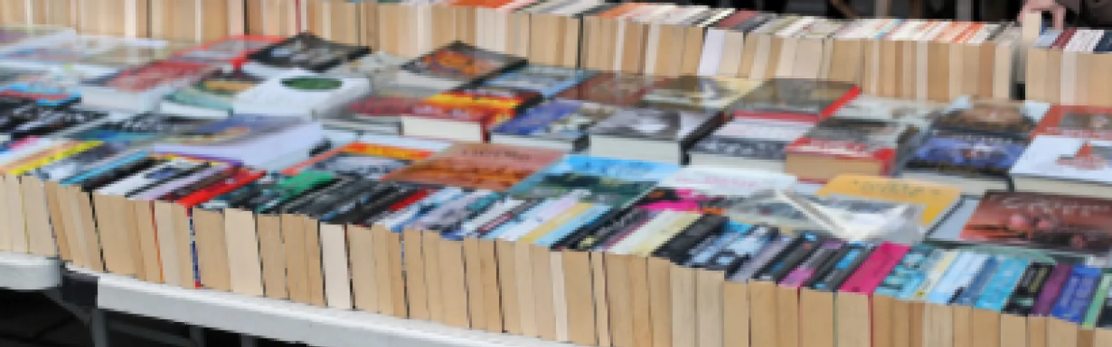 Picture of books lined up on table